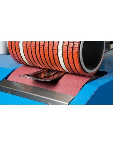 Reichmann Profi 4 Vario - BENZI VARIO PENTRU SLEFUIRE SI STRUCTURARE