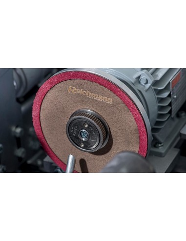 Reichmann DTS II Race - Robot Ascutire Canturi Laterale